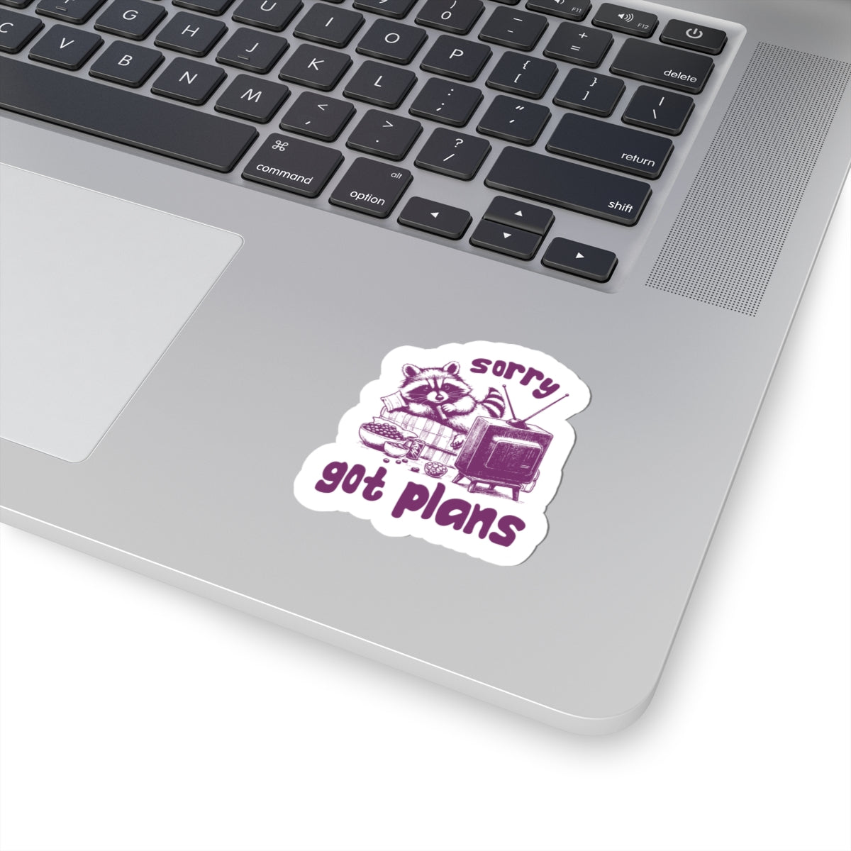 cozy raccoon sticker homebody vibe
