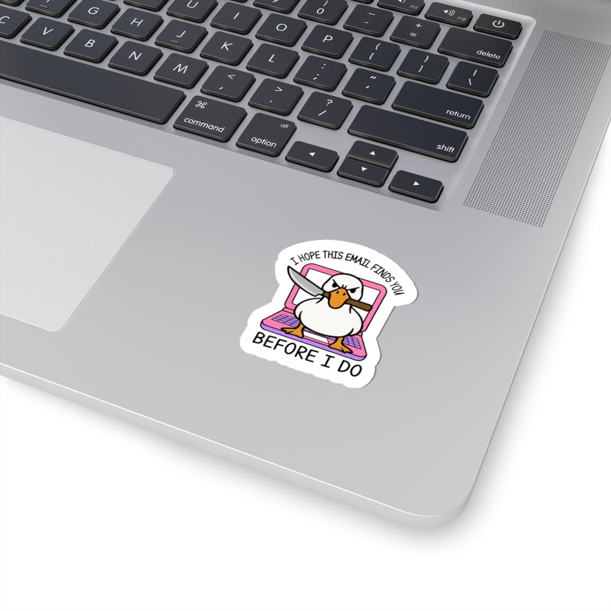 laptop duck vinyl sticker