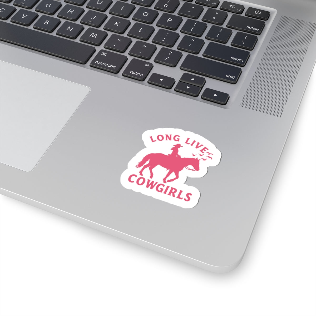 cowgirl horse sticker