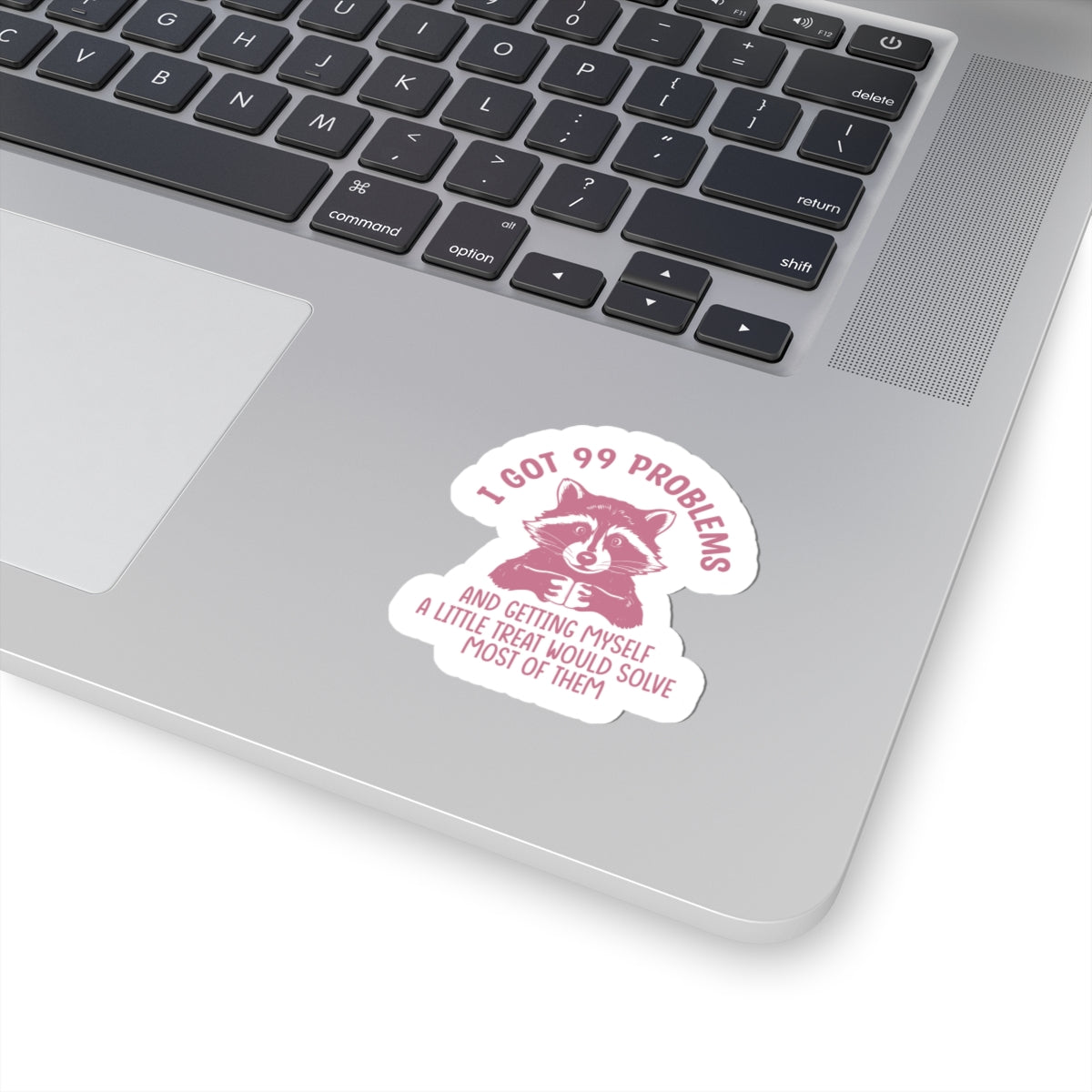 raccoon 99 problems sticker