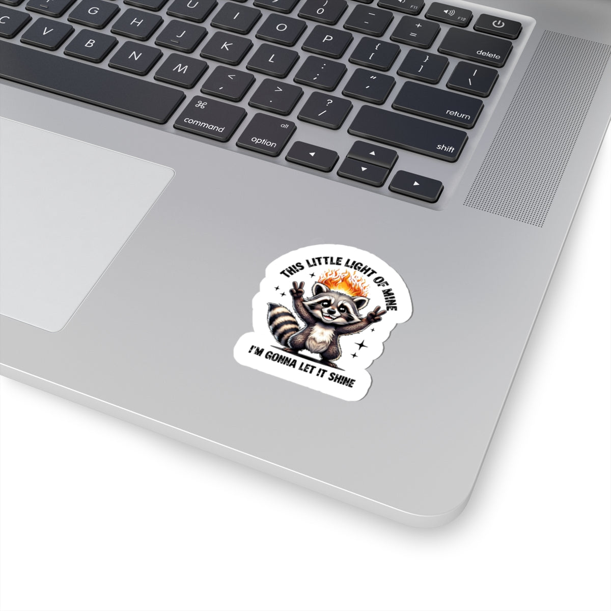 inspirational raccoon sticker decal