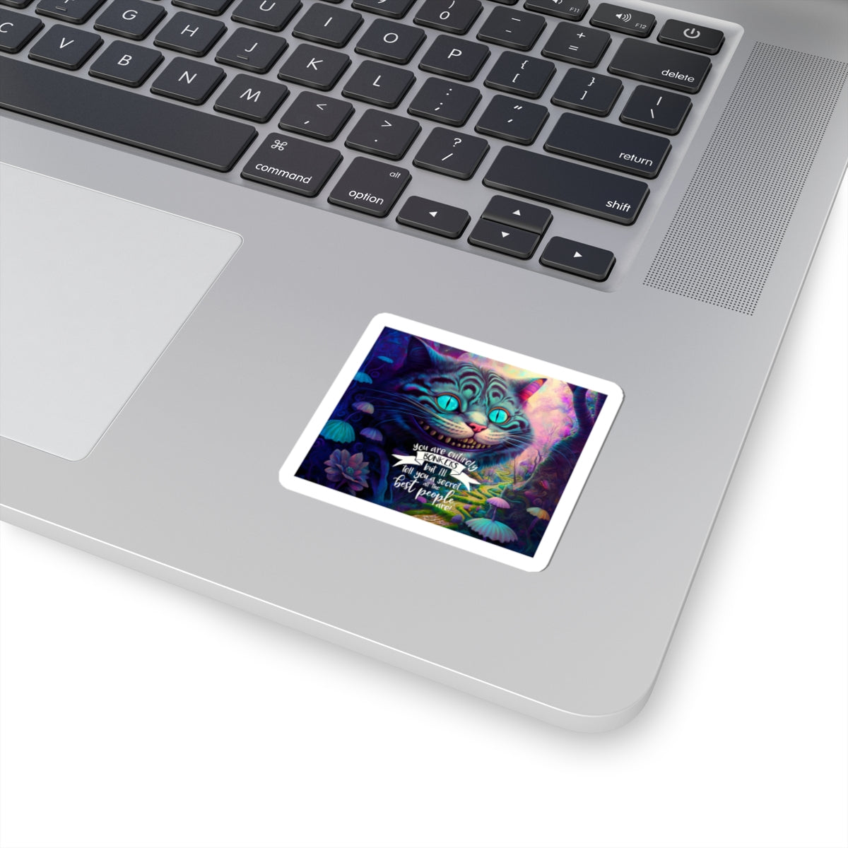 You Are Entirely Bonkers Cat Vinyl Sticker