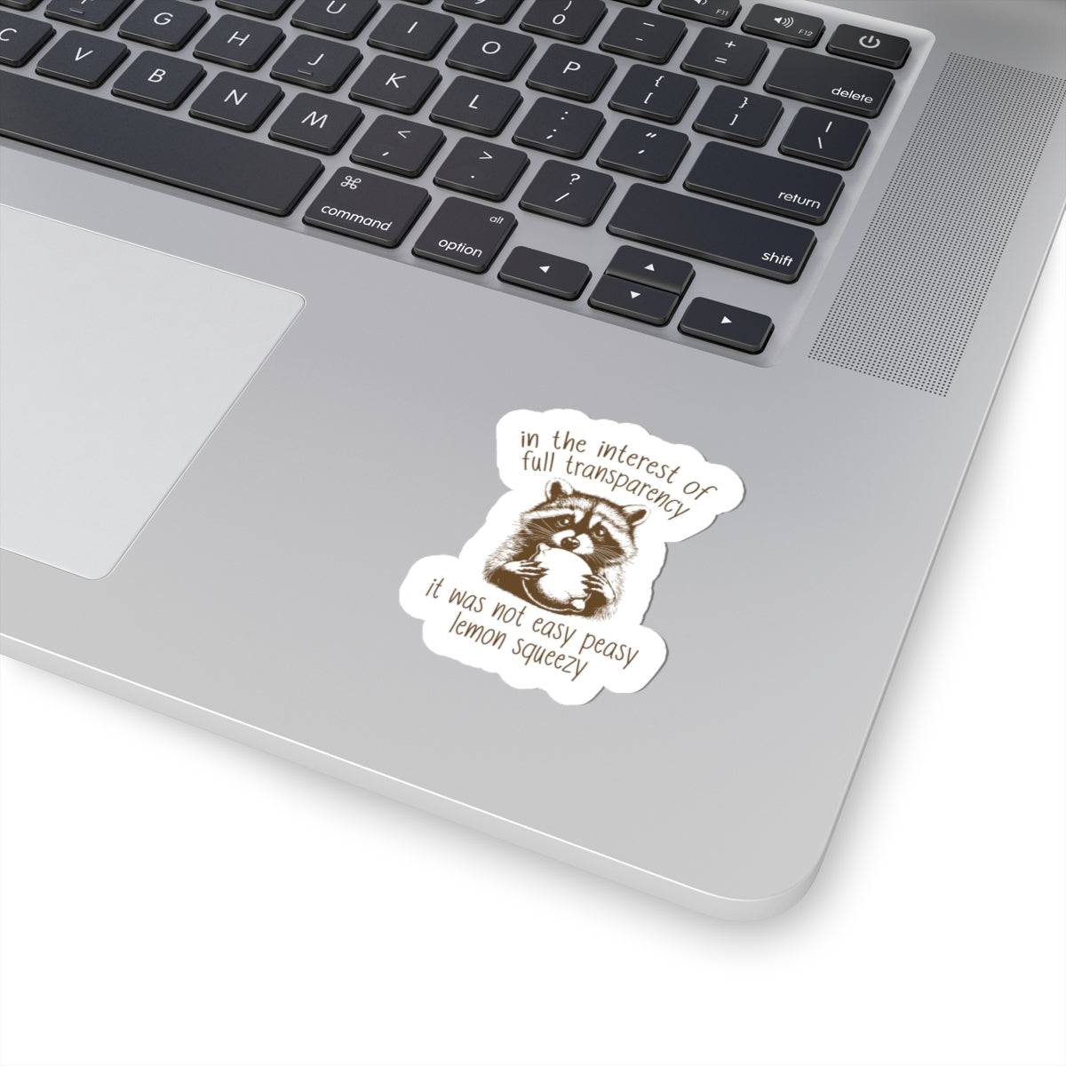raccoon sticker decal with quote
