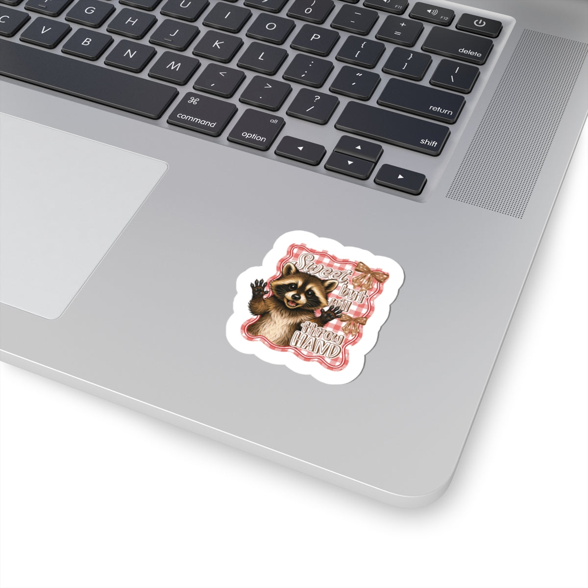 raccoon laptop sticker
