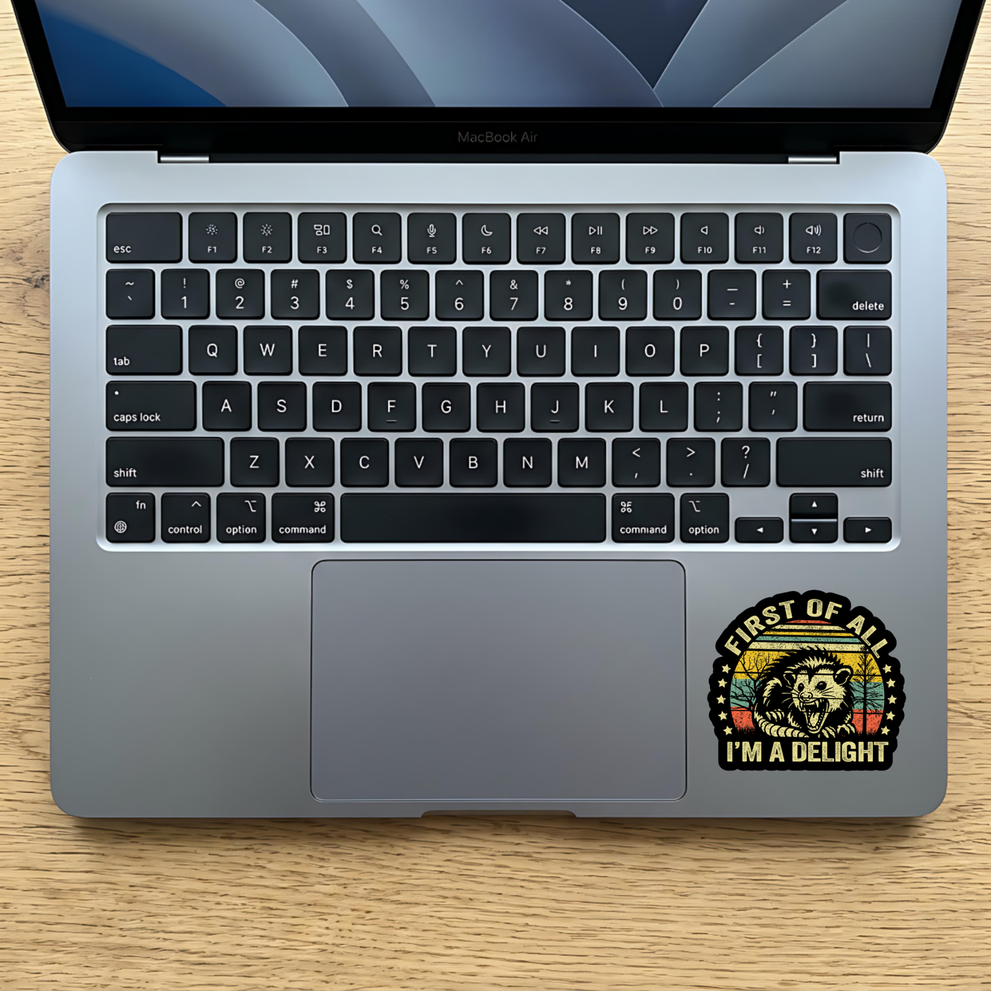 I’m A Delight opossum laptop sticker