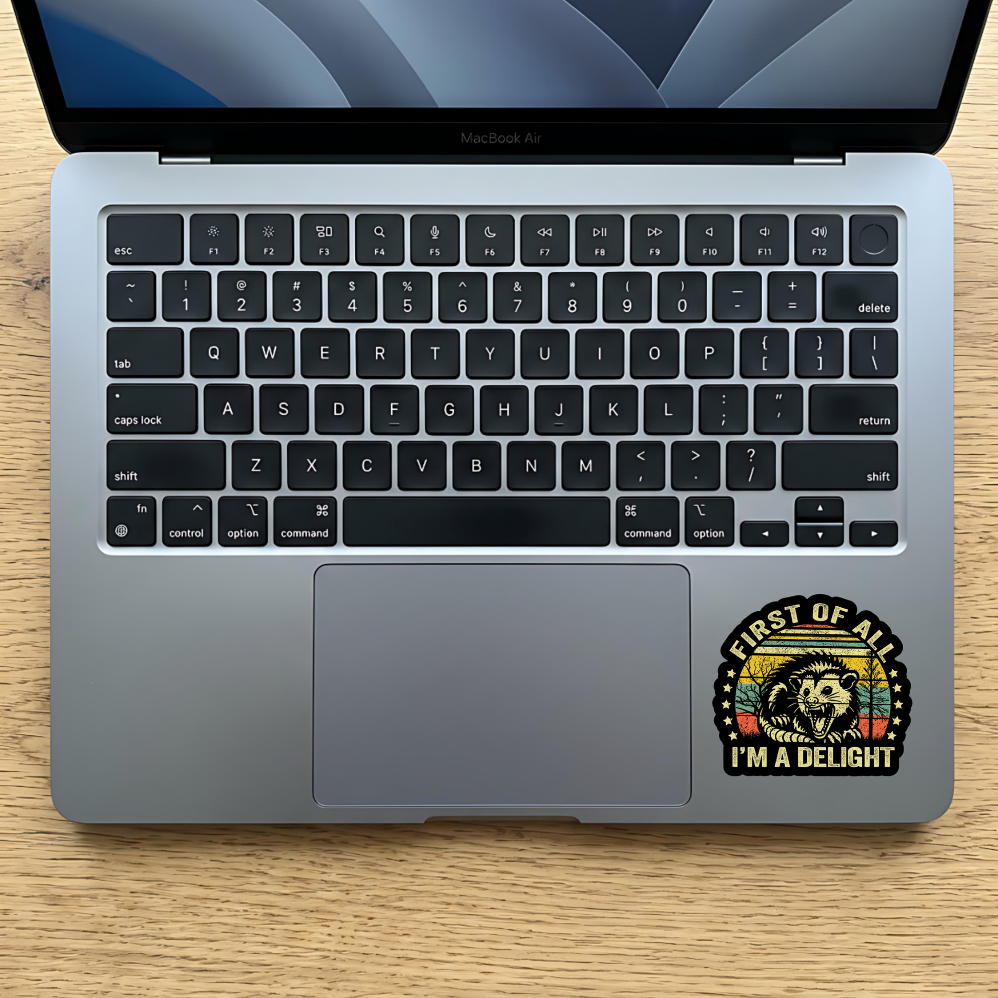 I’m A Delight opossum laptop sticker