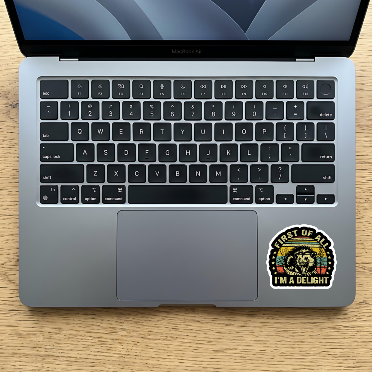Funny Possum Sticker For Laptop