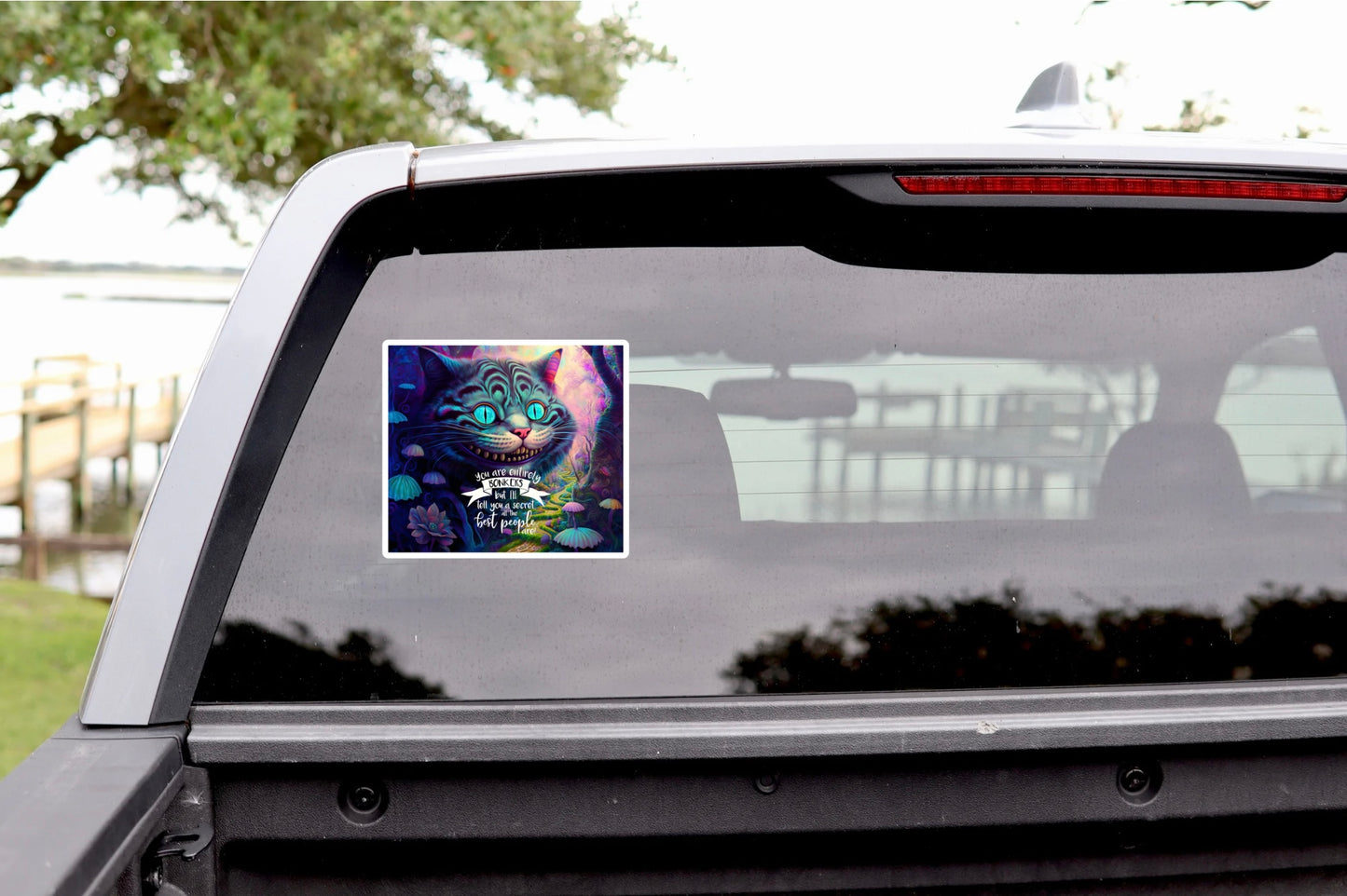 Surreal cat laptop sticker