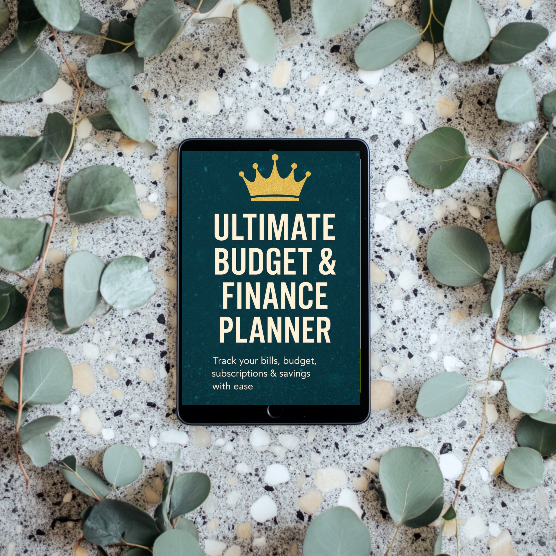 Digital planner PDF for tracking monthly spending and savings goals