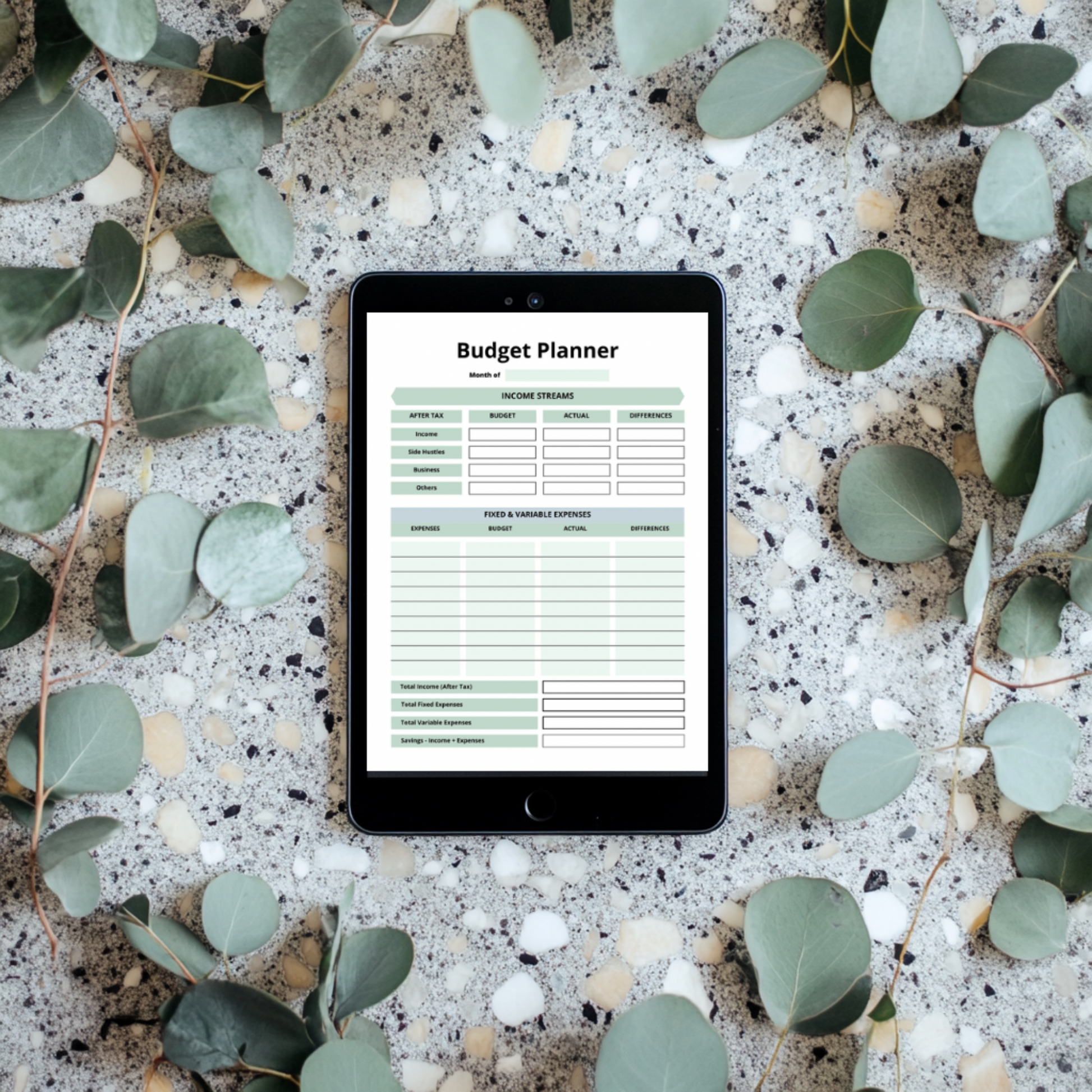 Budget planner monthly layout preview 